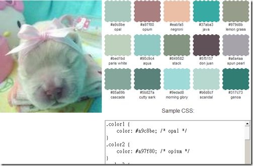 color tool Palette Generator 調色盤